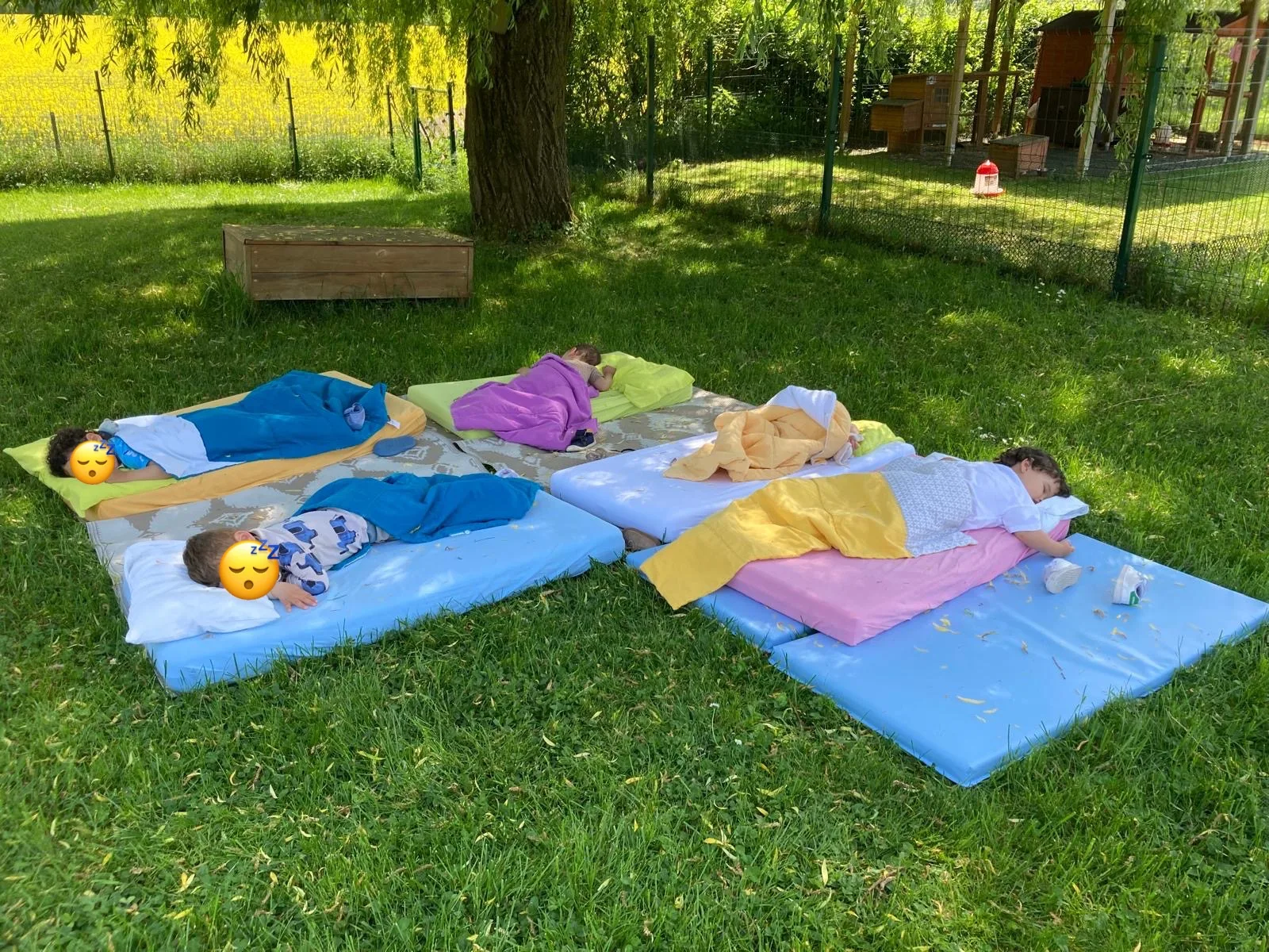 Sieste en plein air sous le saule pleureur à la crèche nature de Kockelscheuer