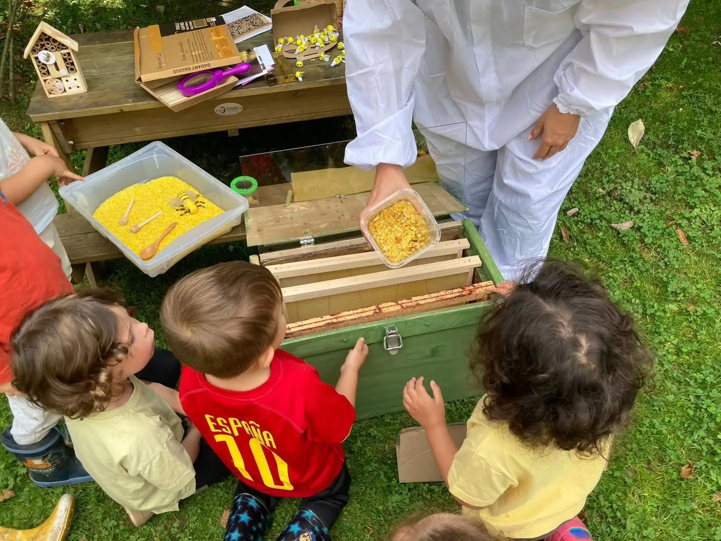 Enfants observant une ruche pédagogique avec l'apiculteur à Kockelscheuer