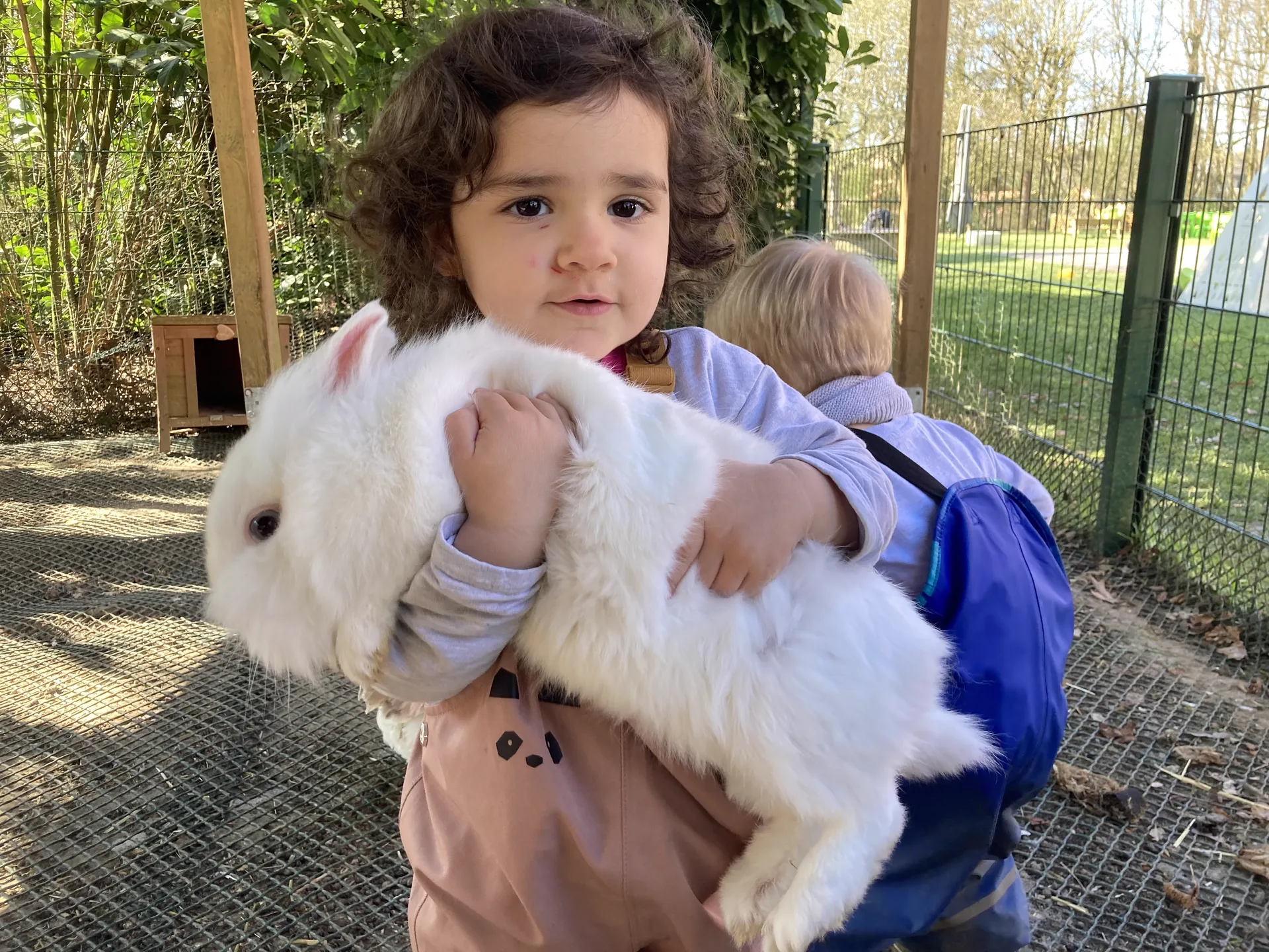 Câlin avec un lapin blanc au petit enclos animalier de la crèche Kockelscheuer