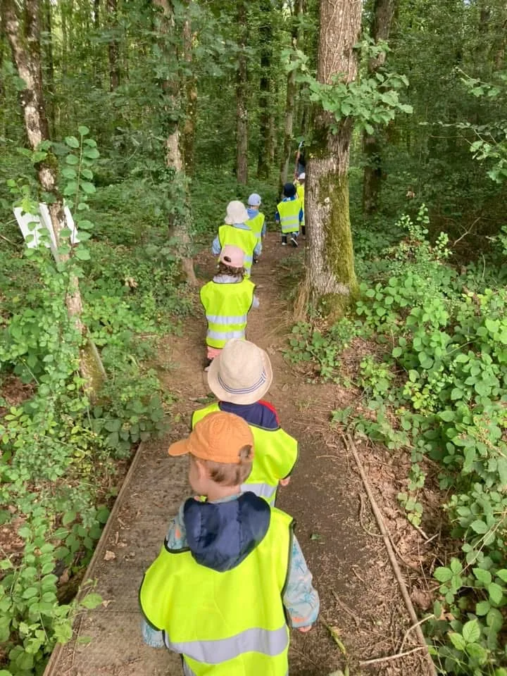 File d'enfants en gilets fluo sur le sentier en bois de la forêt de Kockelscheuer