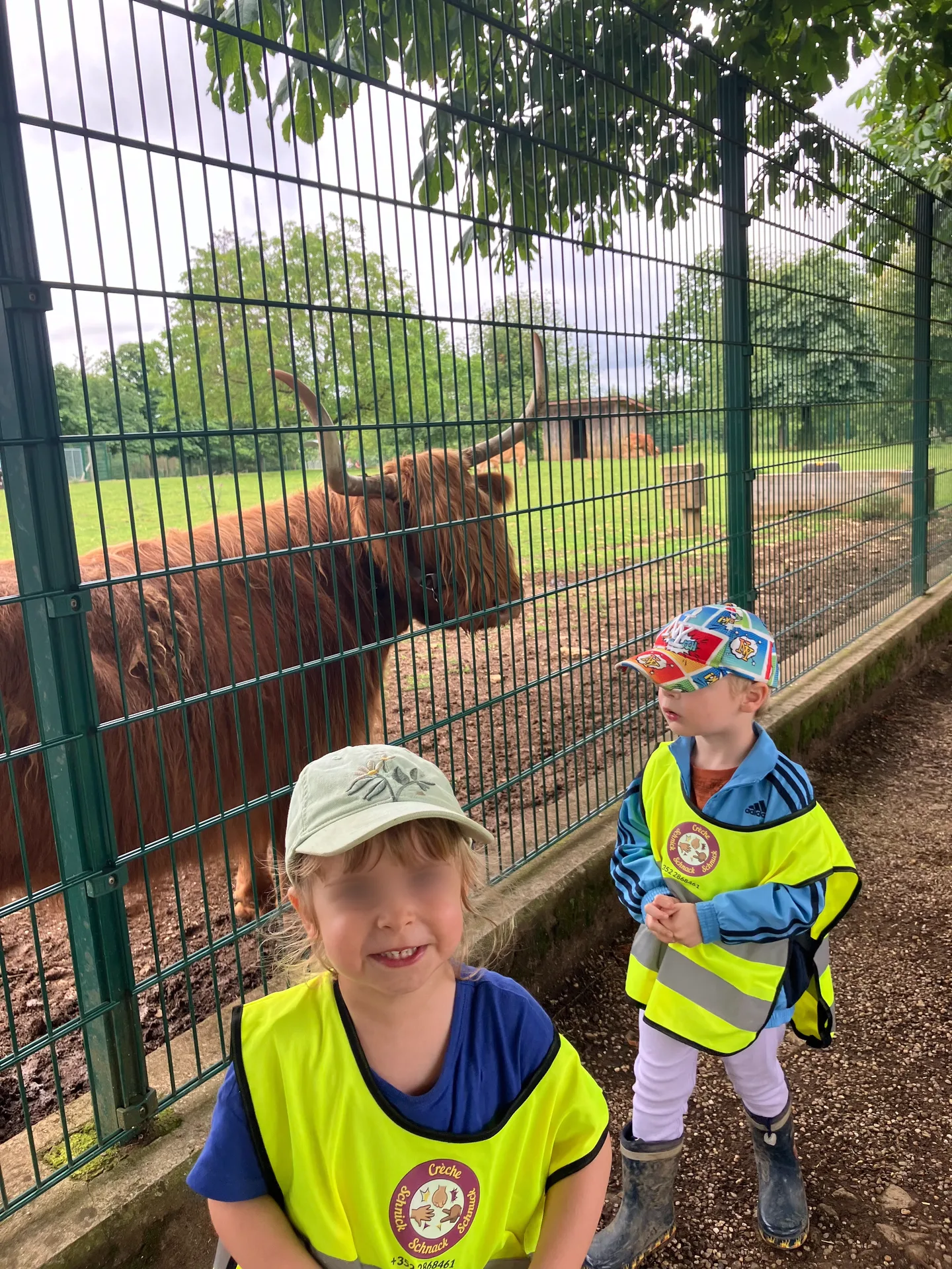 Découverte des vaches Highland au parc de Kockelscheuer avec la crèche Schnick Schnack