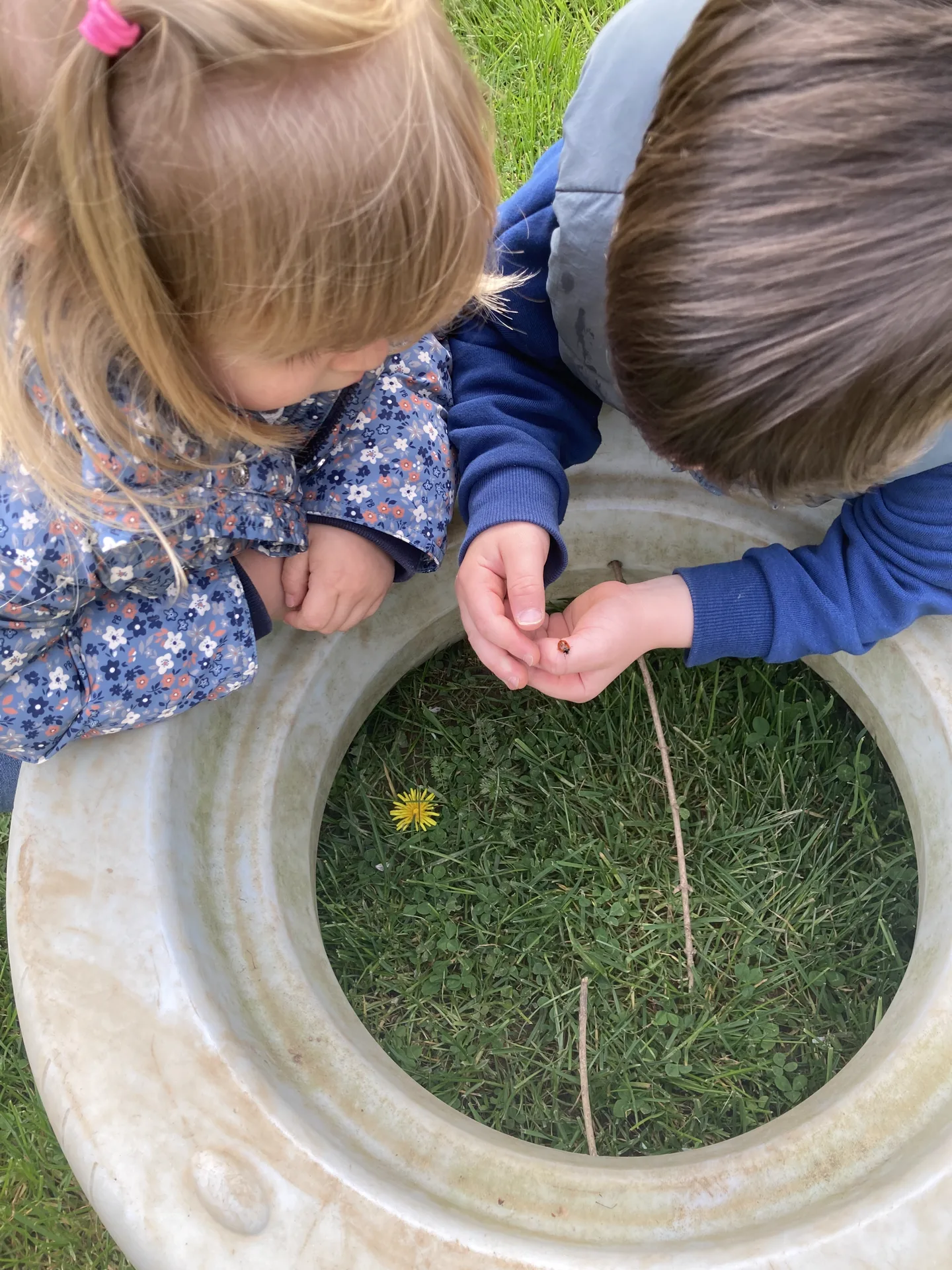 Deux enfants observent une coccinelle posée dans la main, éveil à la nature à Kockelscheuer