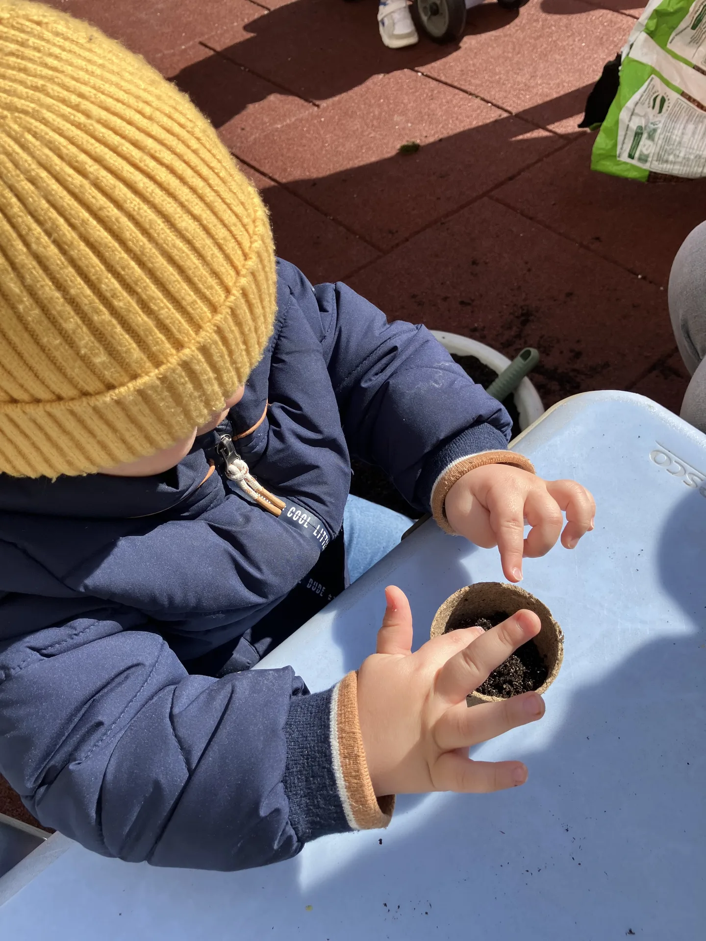 Atelier semis : petit enfant qui plante une graine dans un godet biodégradable en tourbe