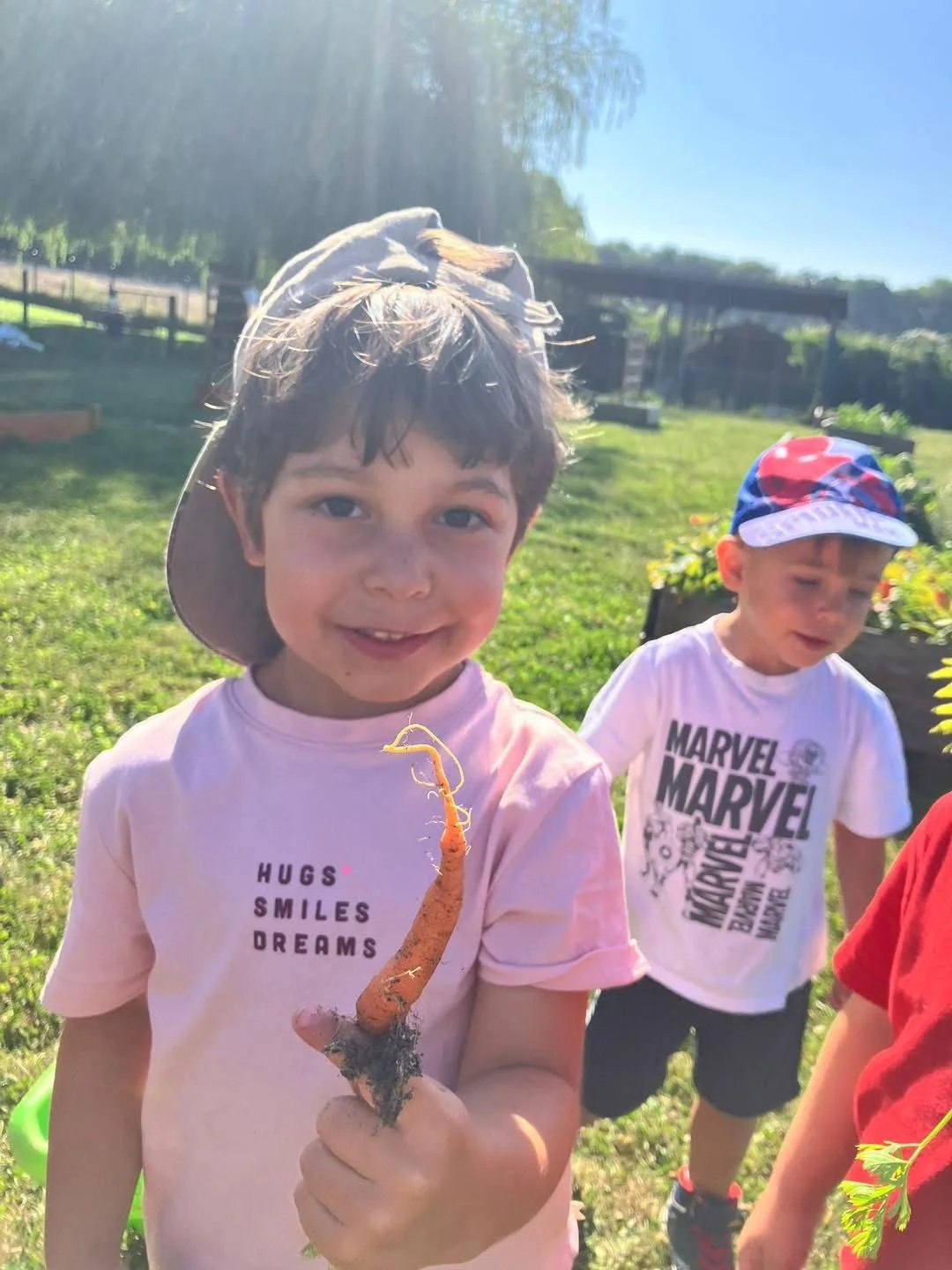 Petit garçon qui montre fièrement une carotte tout juste sortie de la terre du potager