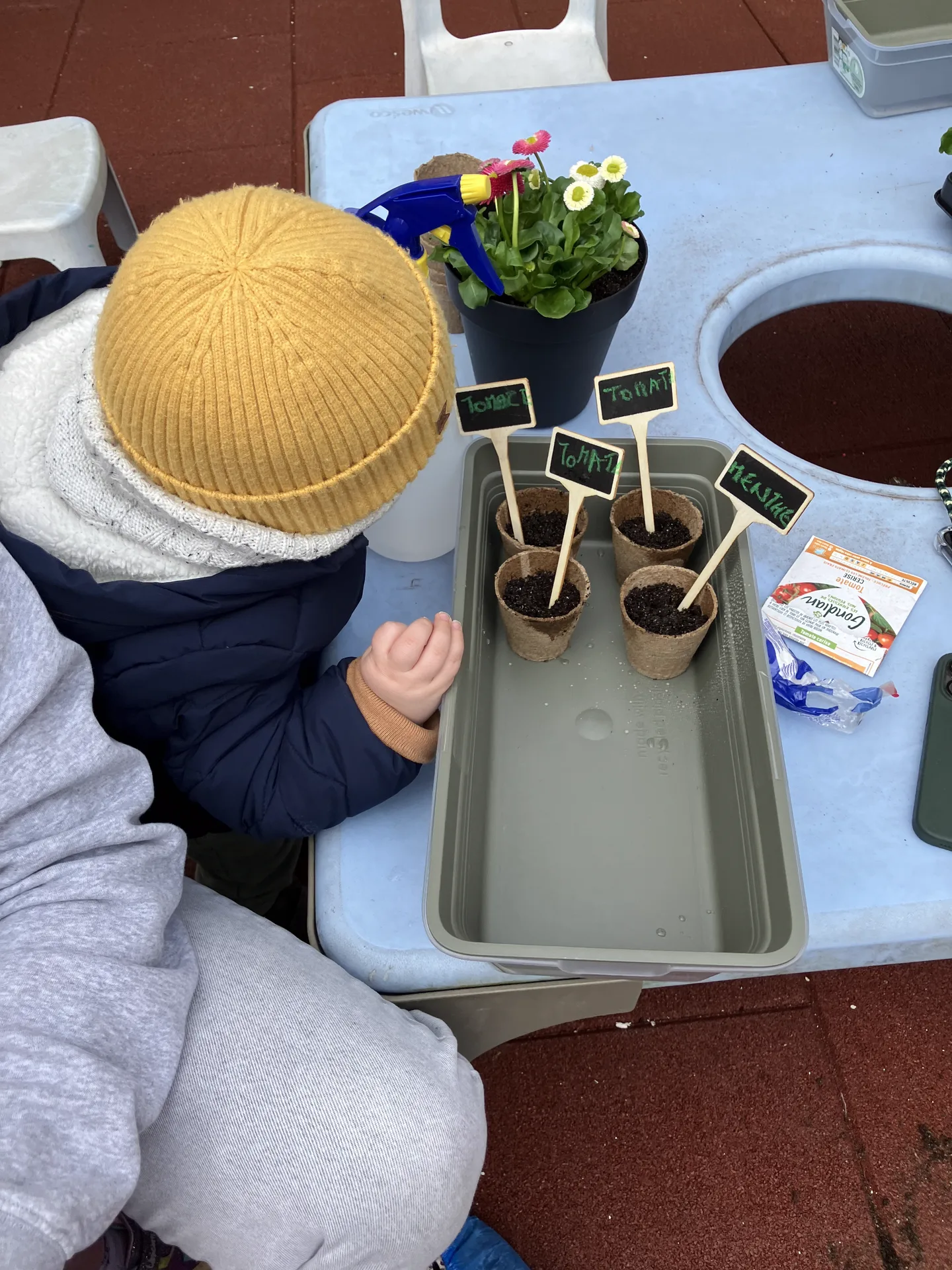 Semis de tomates et menthe préparés par un enfant à la crèche de Differdange