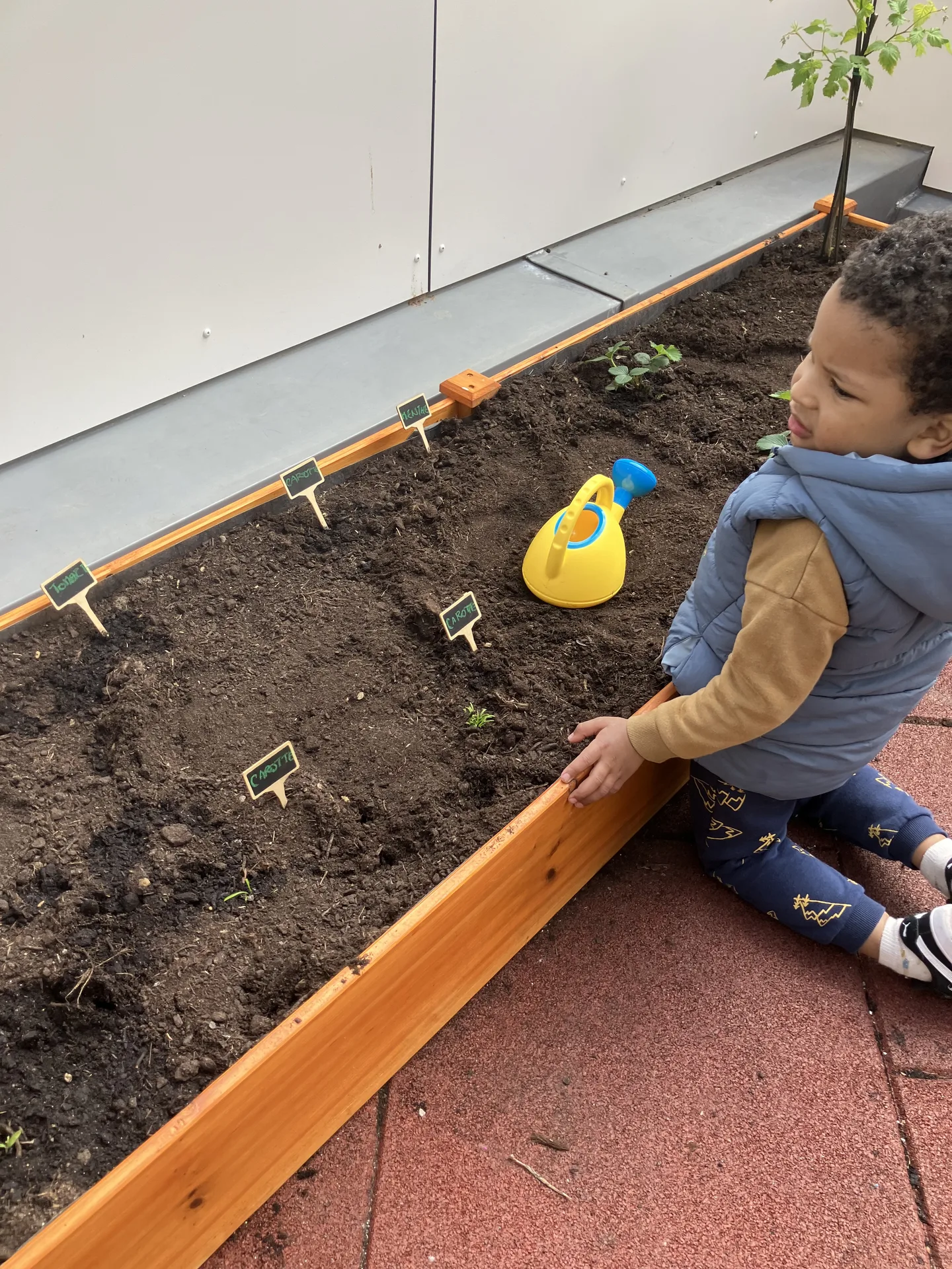 Bac potager avec petites étiquettes carotte et menthe, atelier semis à la crèche