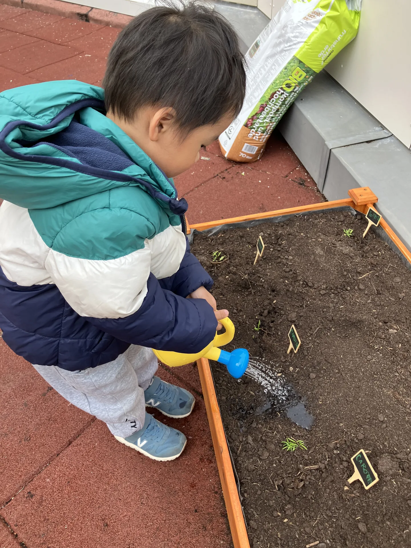 Enfant qui arrose les jeunes pousses de carotte au potager de la crèche de Differdange